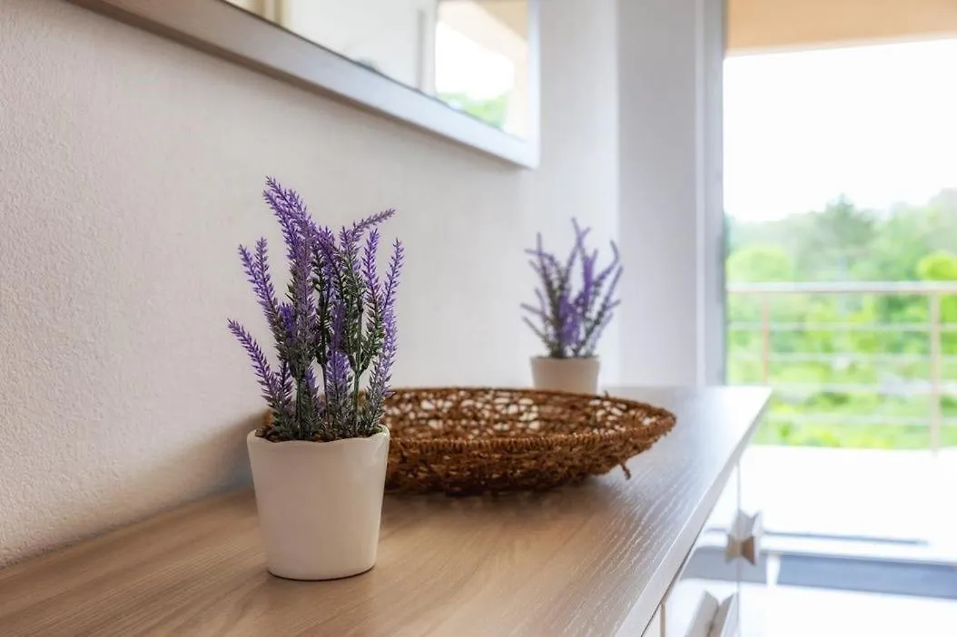 Apartments Grozdanic Sveti Vid-Miholjice